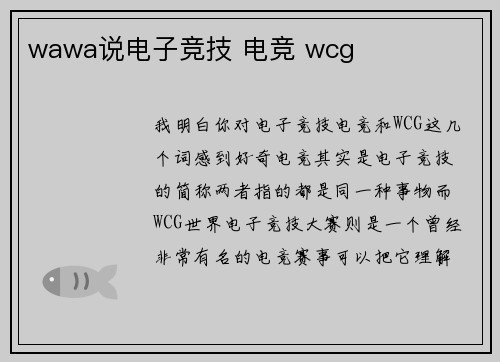 wawa说电子竞技 电竞 wcg